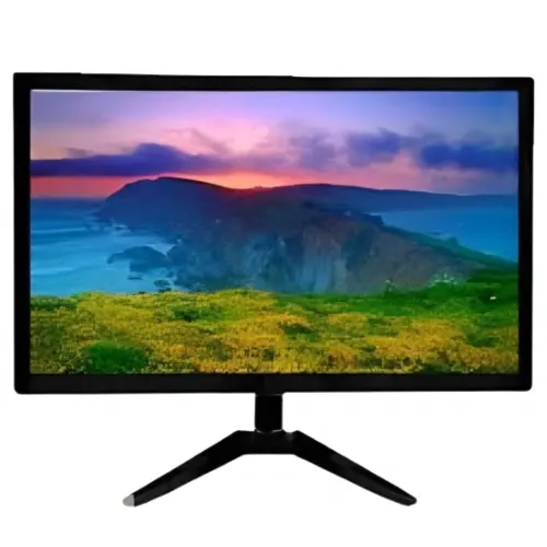 Esonic ESLM19W 19-inch HD LED Monitor